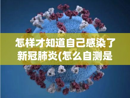【石家庄解封最新通知，2021年石家庄疫情全员封控时间】