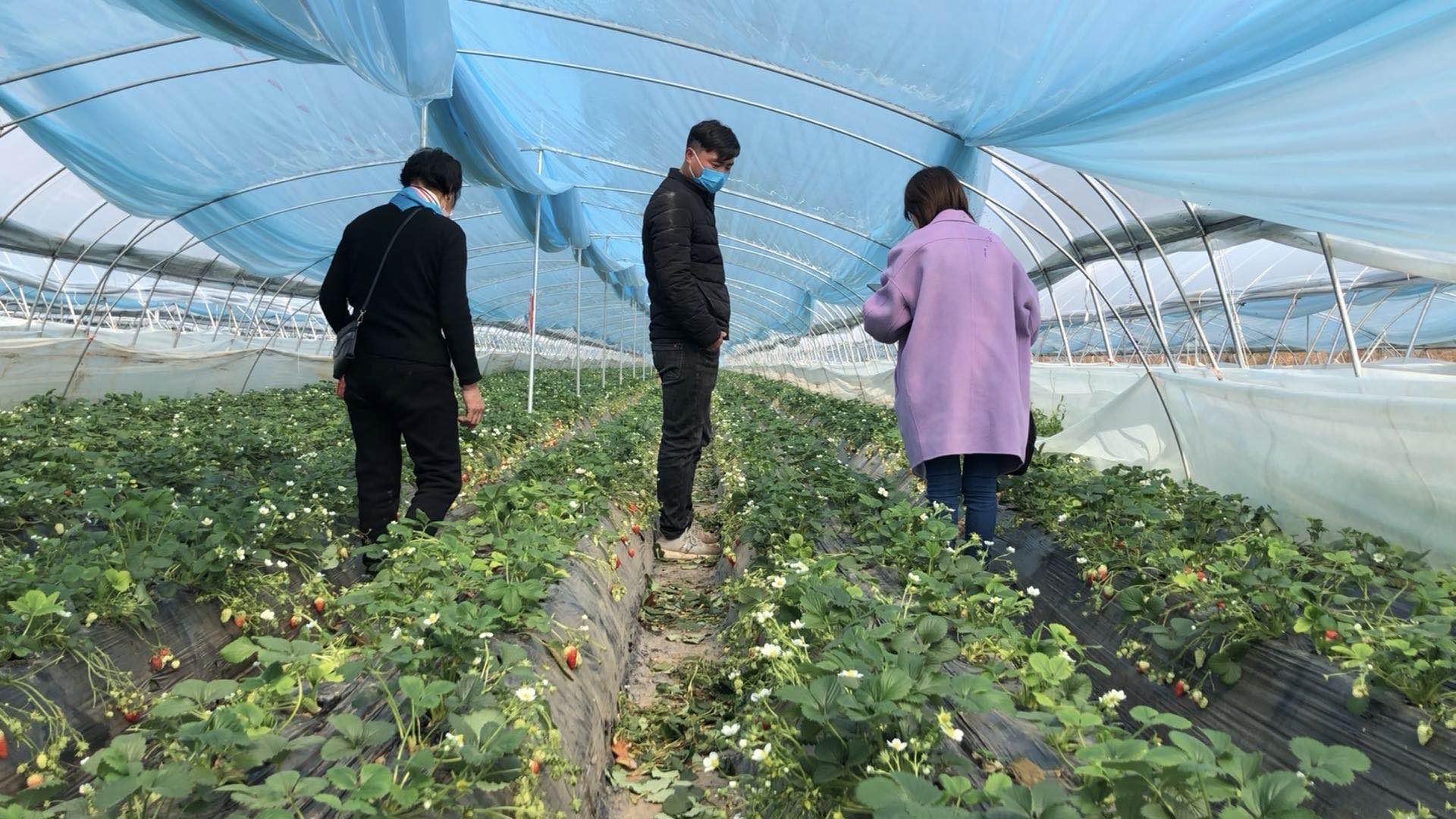 疫情西安最新消息/西安疫情今日消息