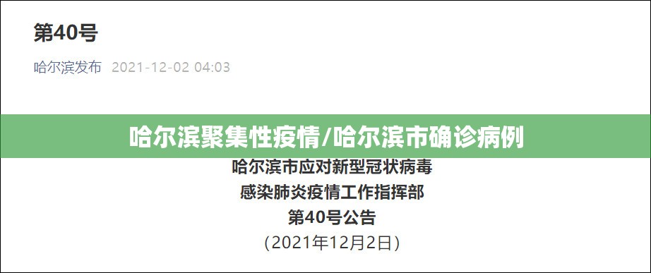 青岛开展大规模核酸检测/青岛核查部门
